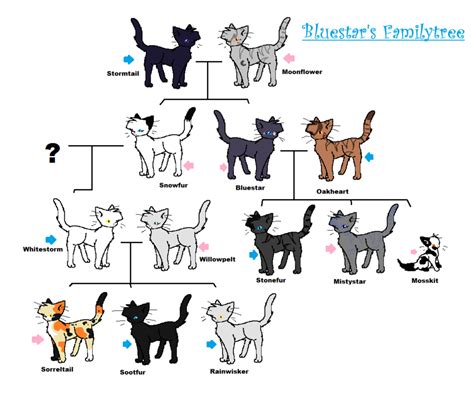 raven warrior cats|ravenpaw's family tree.